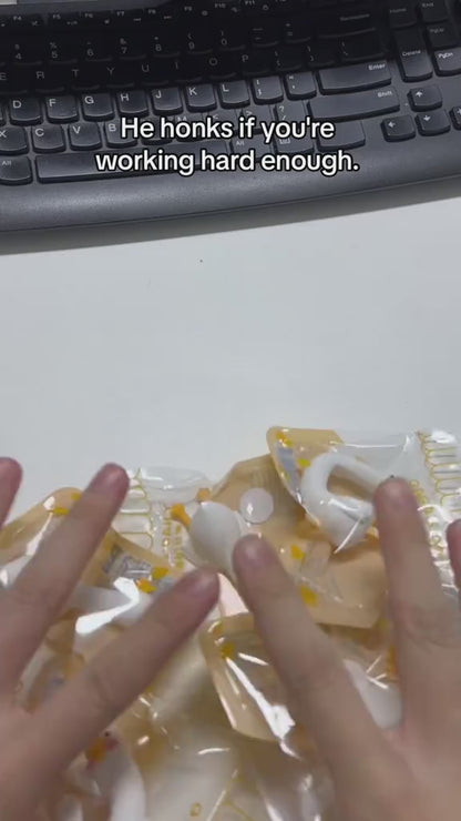 MUNBYN So Tired Lazy Duck Mini Desk Ornaments Work Partner 3pcs/set