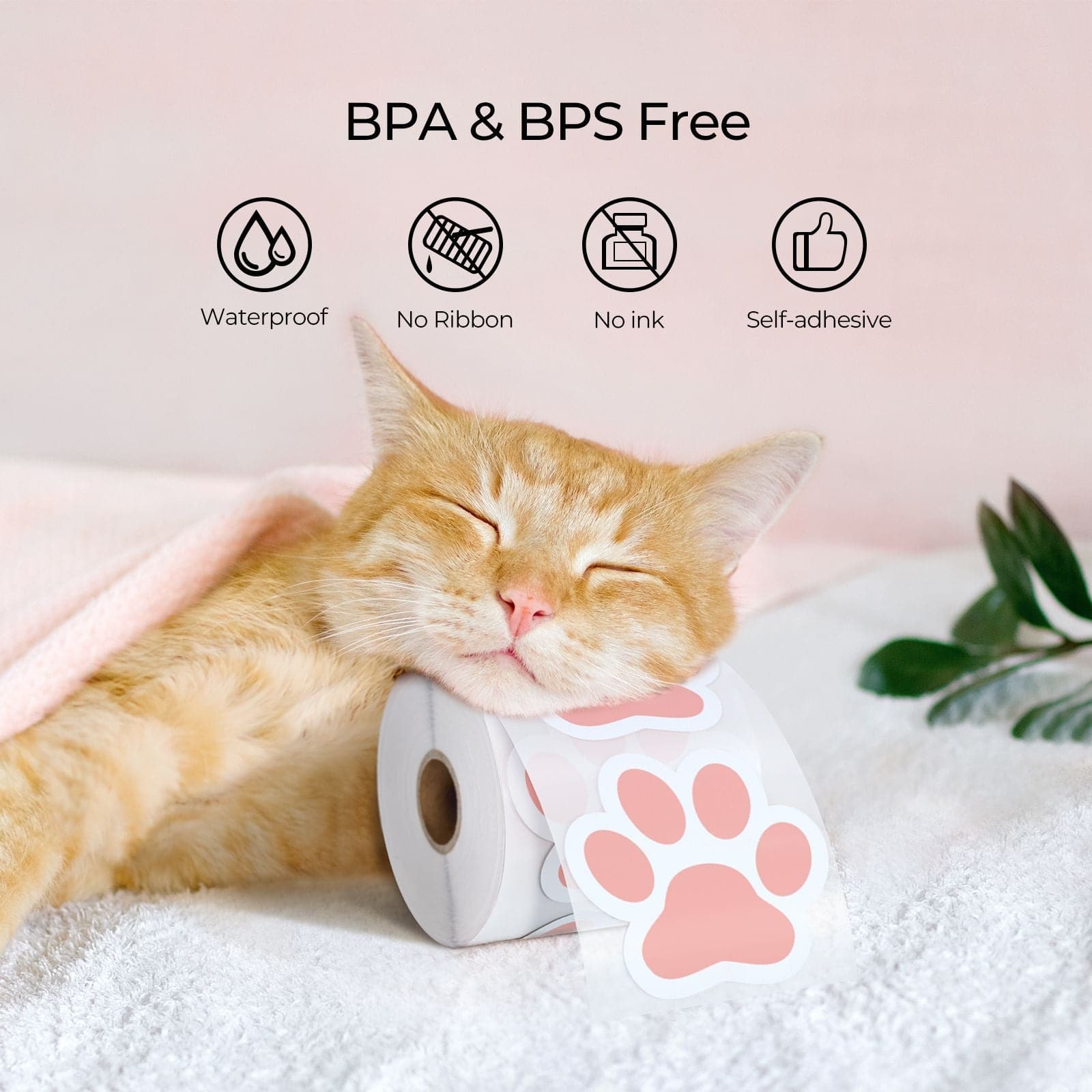 Print personalized pet paw stickers which is BPA & BPS Free and waterproof.